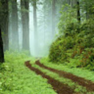 Meet your Posher, Gail